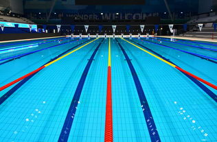 星空体育全站app-体坛记忆｜福冈世锦赛蝶泳决赛，张雨霏最后5米不换气狂冲，逆袭夺金